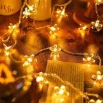 3M 20LED Battery Operated Flower Fairy String Lights - Warm White, Cherry Blossom, Waterproof