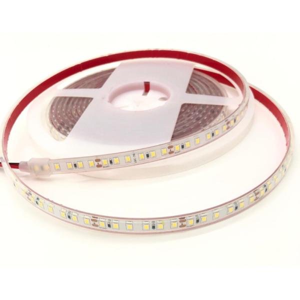 MOGEN DC24V LED Strip Light | IP68 | 8mm | 14W/M | White / Warm White