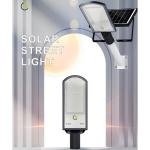 TM Solar LED Street Light - 100W, 4000K Neutral White, IP66