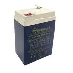 EURONET VALVE REGULATED LEAD ACID BATTERY 6V-4.5AH